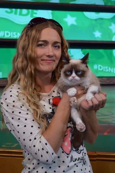 Grumpy Cat