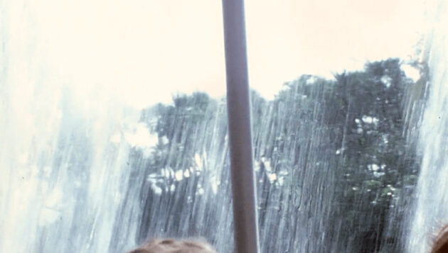 backside of water on the Jungle Cruise