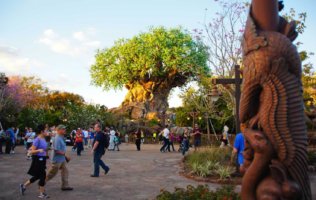 animal kingdom