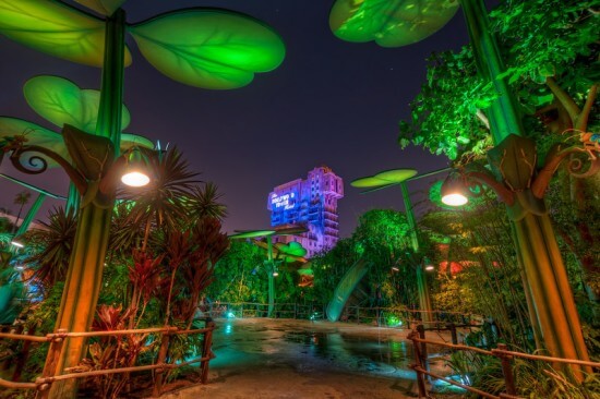 A Bug's Land at Night