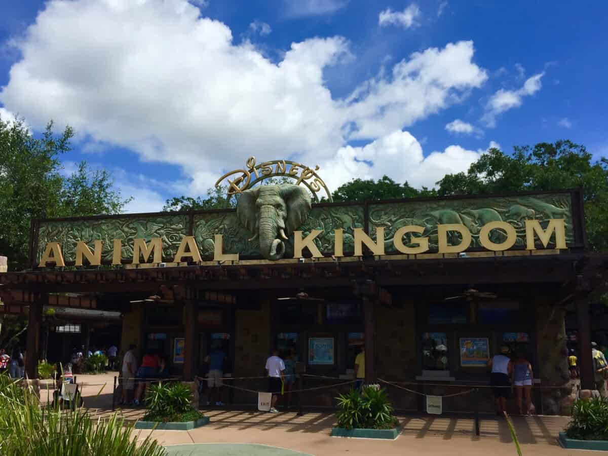 Disney's Animal Kingdom