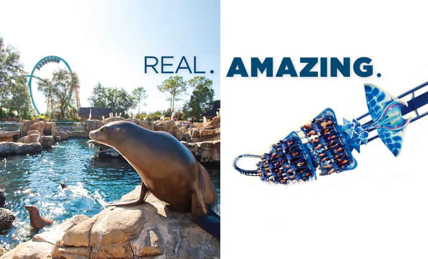 New Transferrable Annual Pass