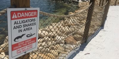 Anti-Gator Fences
