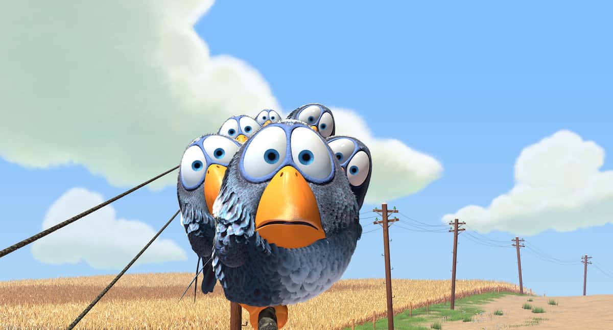 For The Birds