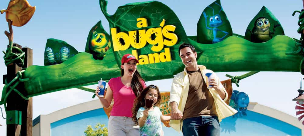 A Bug's Land