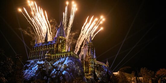 Fireworks in the night sky
