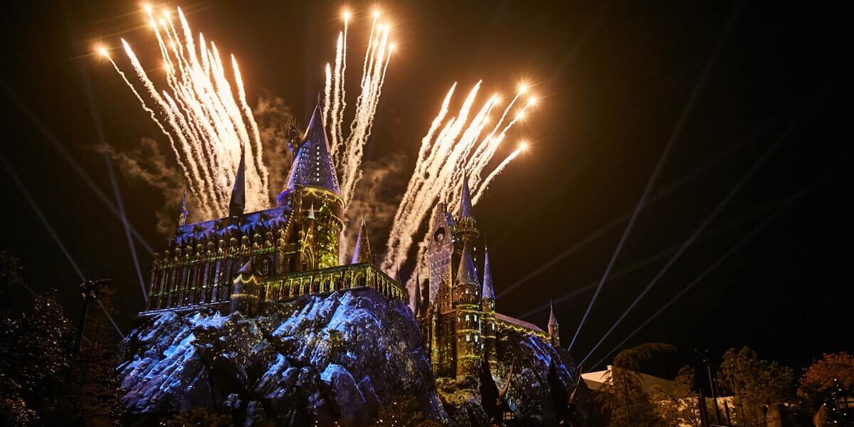 Fireworks in the night sky