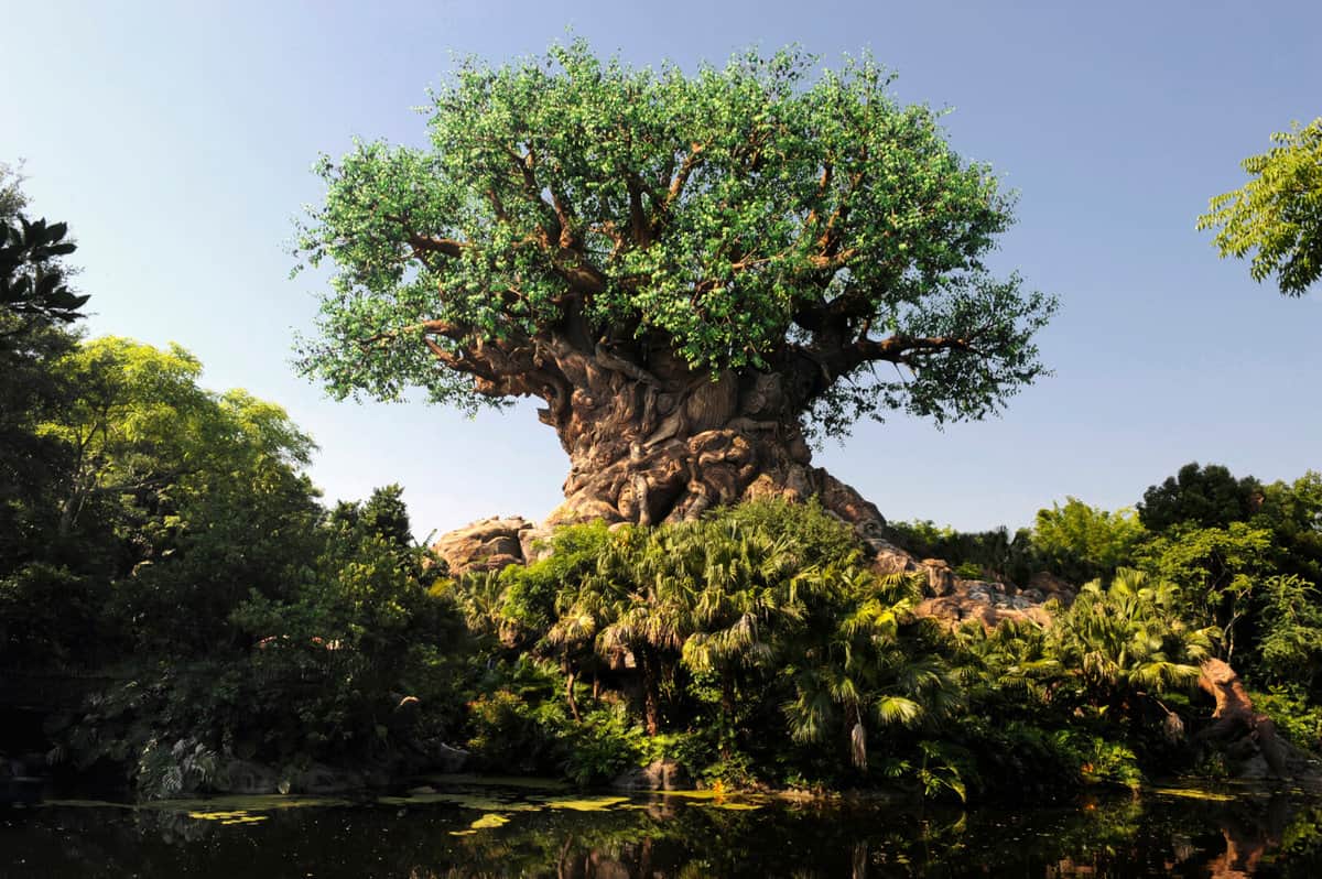 Man points gun at Disney guest in fight for disabled parking spot at Disney's Animal Kingdom