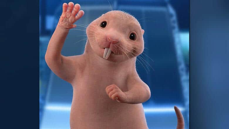 Rufus from Kim Possible waving