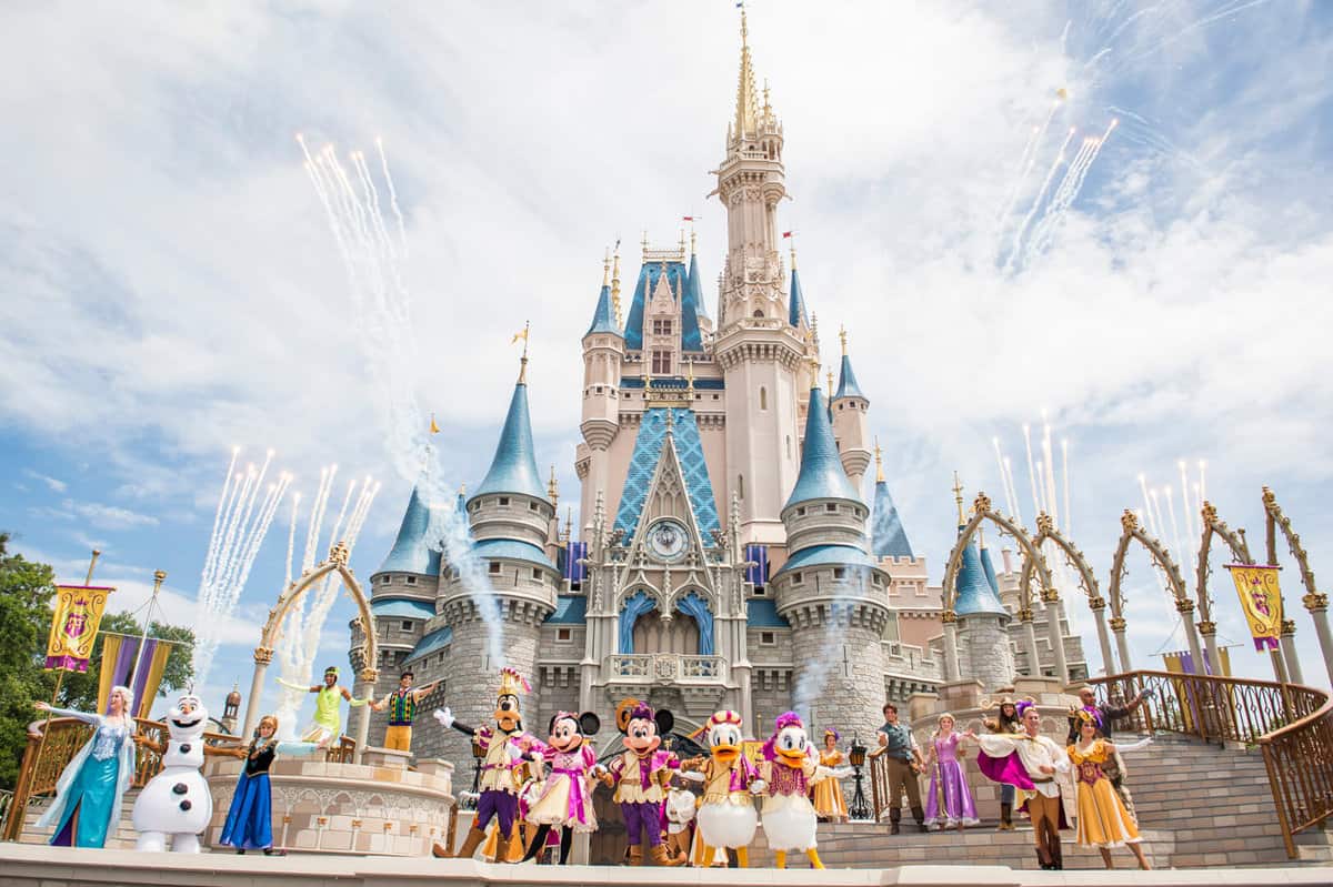 magic kingdom castle