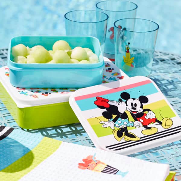 Mickey and Minnie Mouse BBQ set 