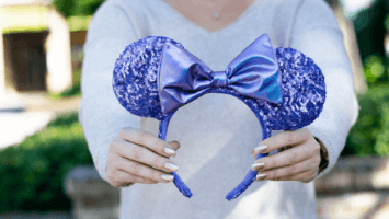 New law allows theme parks to sell lost goods