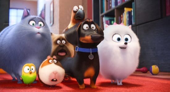 Universal Studios Hollywood to get "The Secret Life of Pets" attraction