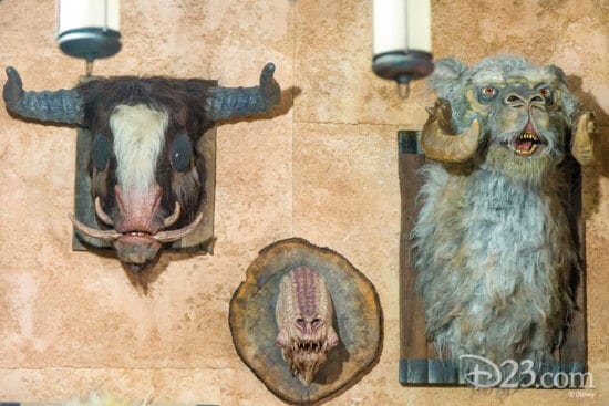 Head on Animals hang in a wall