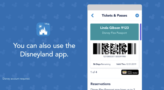 Disney's New Flex Annual Pass Introduces Reservation System Ahead of ...