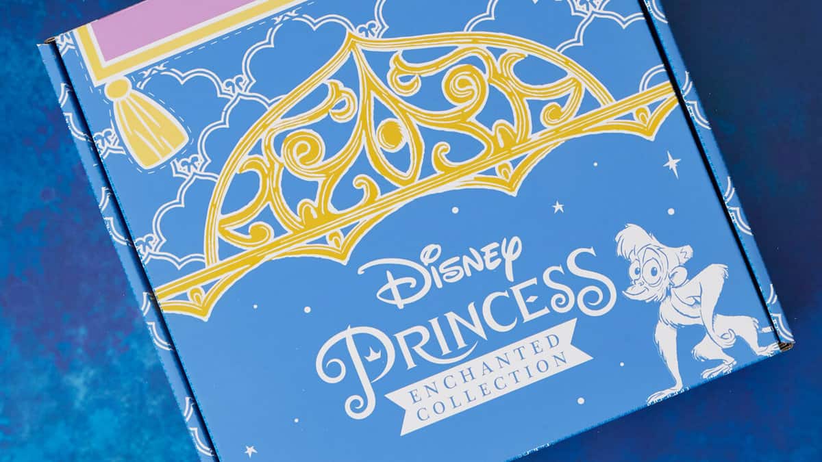 Disney subscription services