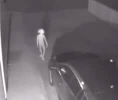 Dobby is FREE!! Dobby caught on muggle security camera?