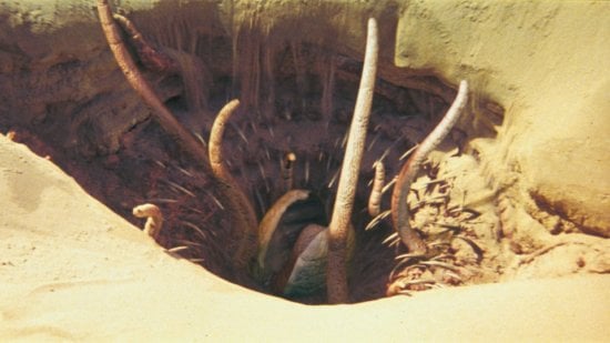 Baby Sarlacc