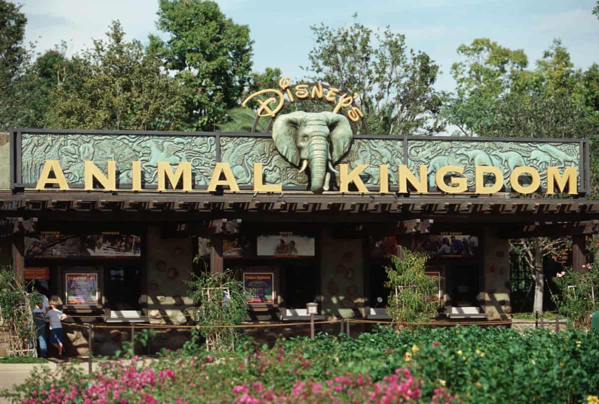 Animal Kingdom entrance