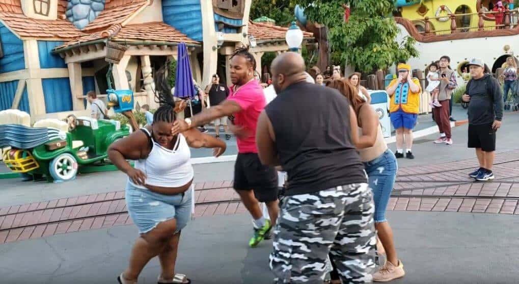Disneyland Fight