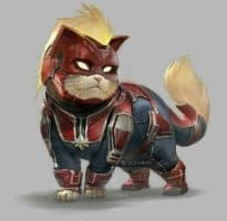 Cat Marvel