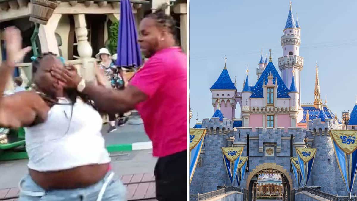 Family fight at Disneyland