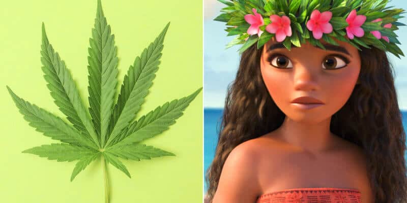 Moana Marijuana cake