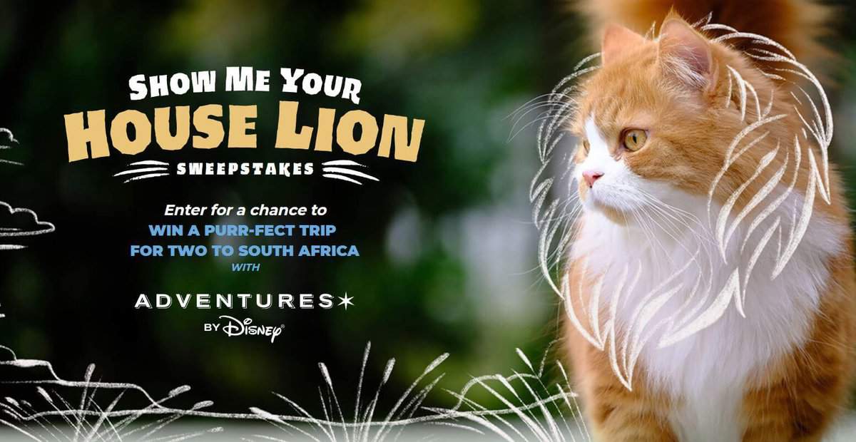 Adventures by Disney sweepstakes