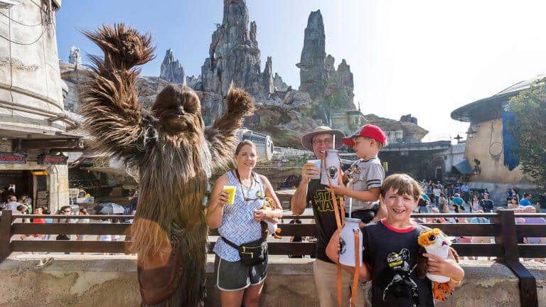 Millennium Falcon Smugglers Run one millionth rider