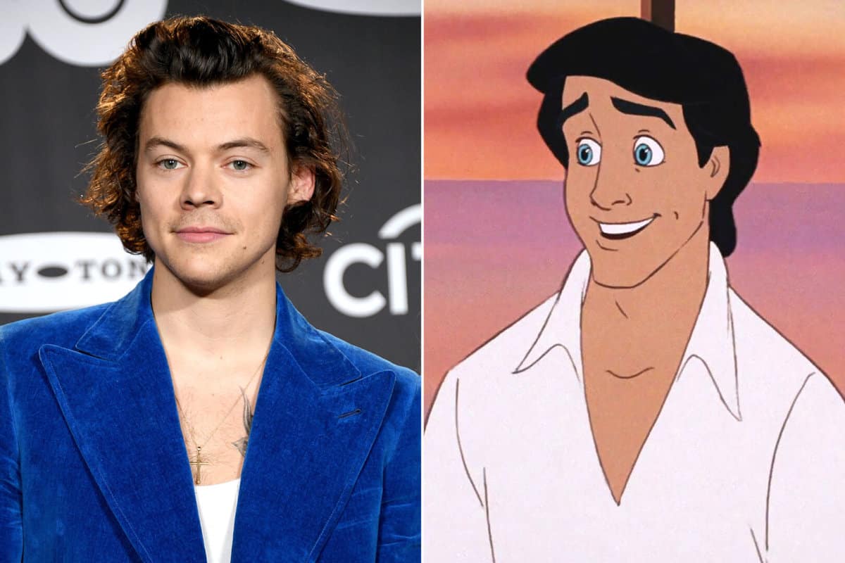 Harry Styles Prince Eric