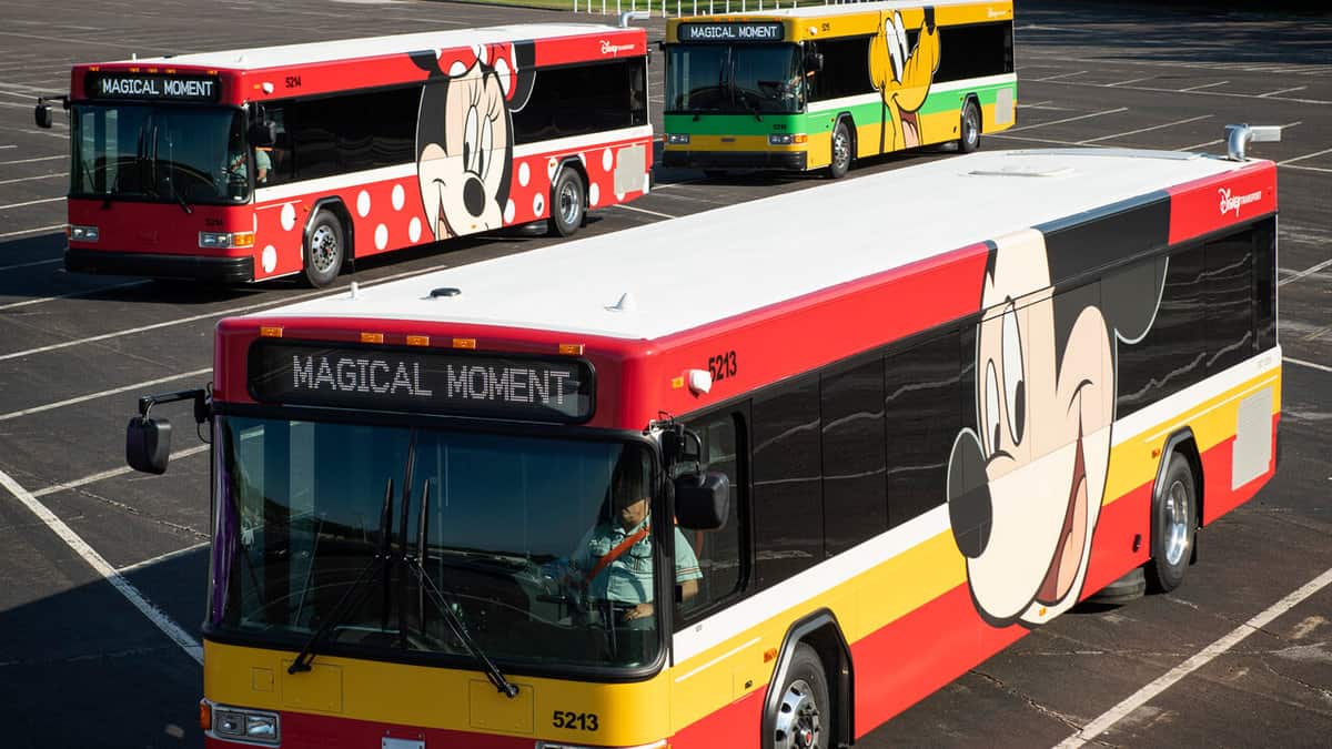 Disney Busses