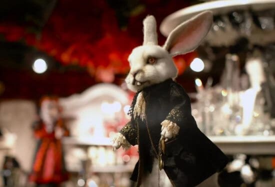Rabbit