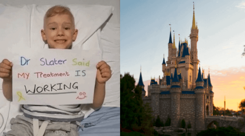 cancer survivor free disney trip