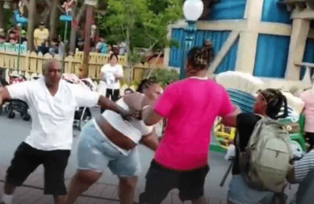 disneyland fight