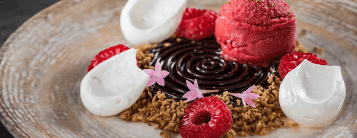 Vegan Disney Option