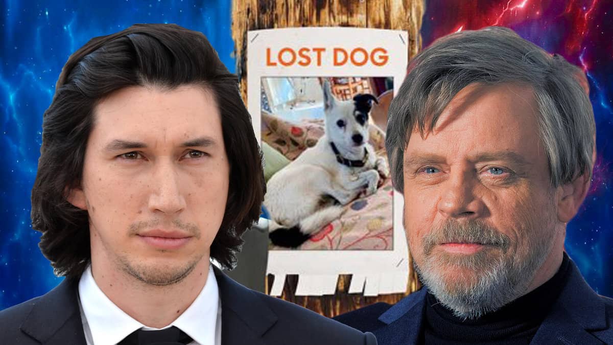 Adam Driver, Mark Hamill are posing for a picture