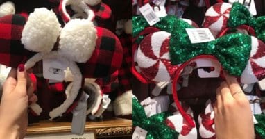 Minnie Mouse Ears Holidays