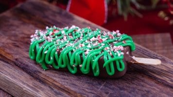 The Chocolate Peppermint Bar