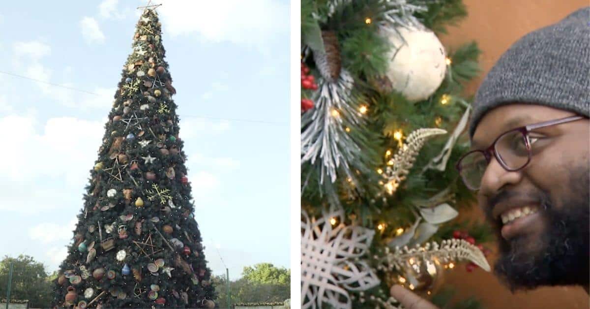 Animal kingdom holiday decor