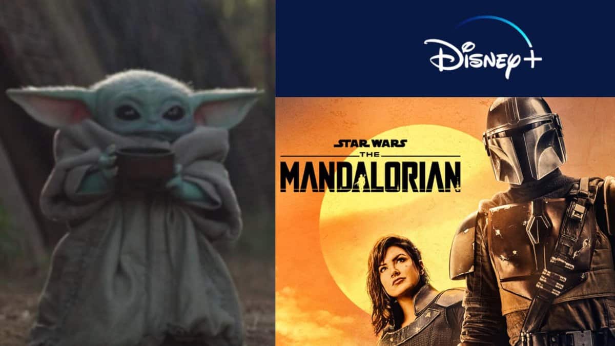 Mandalorian Baby Yoda