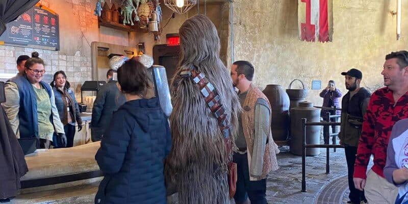 Chewbacca at Disney restaurant