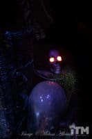 Skull at Mardi Gras Tribute Store