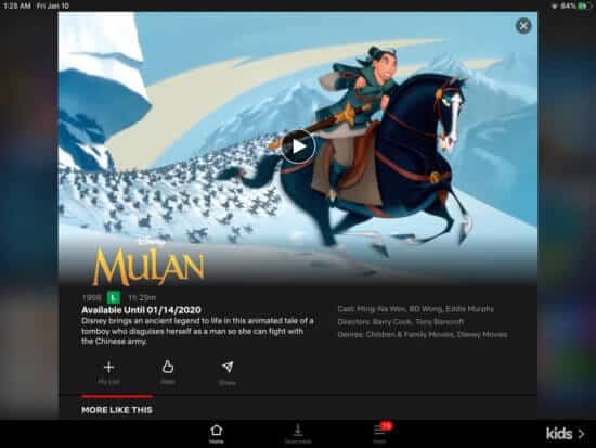 Mulan at Netflix platform