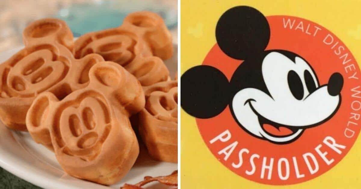 Disney World Discount