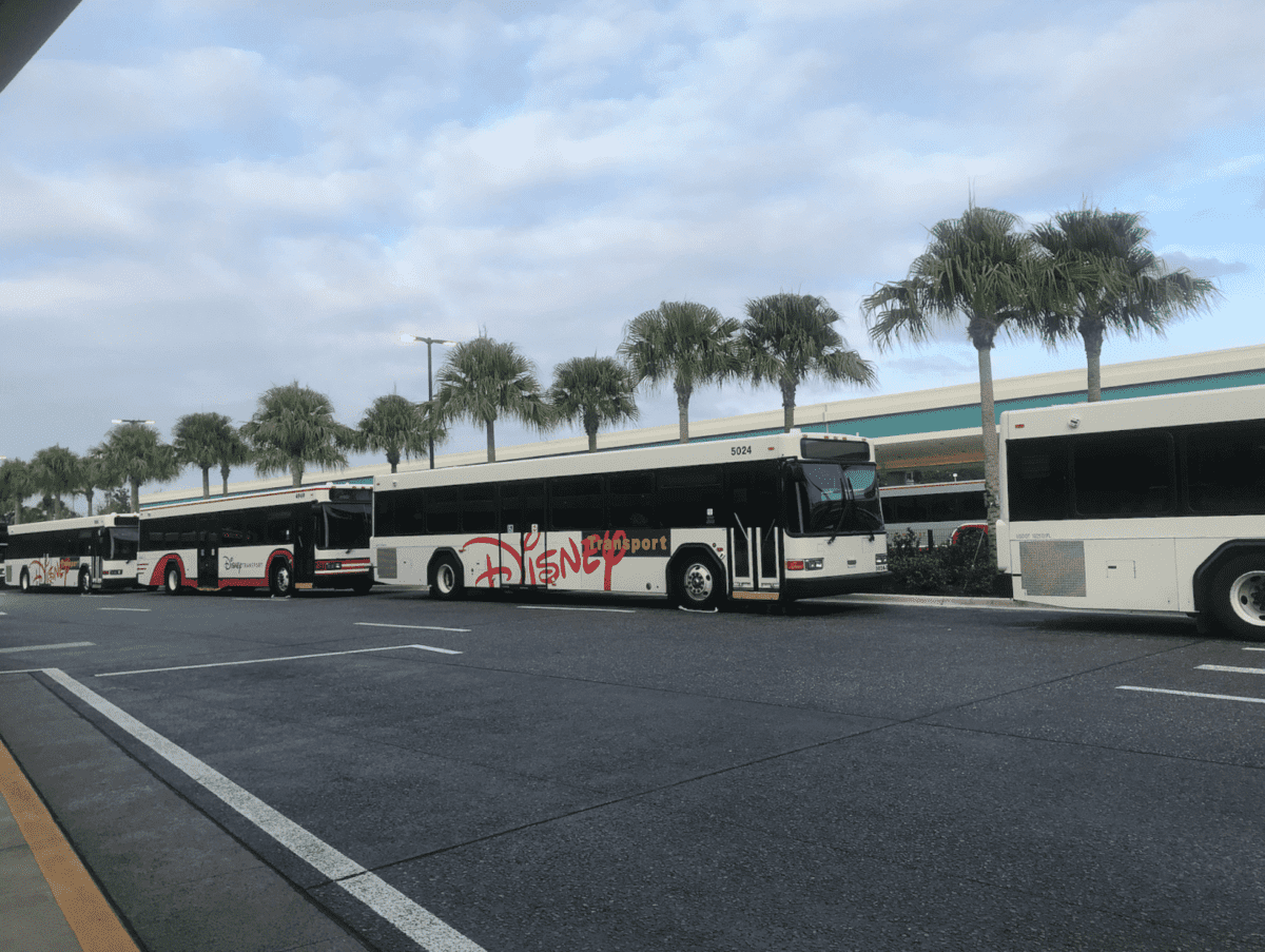 disney bus