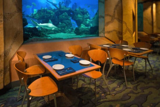Coral Reef
