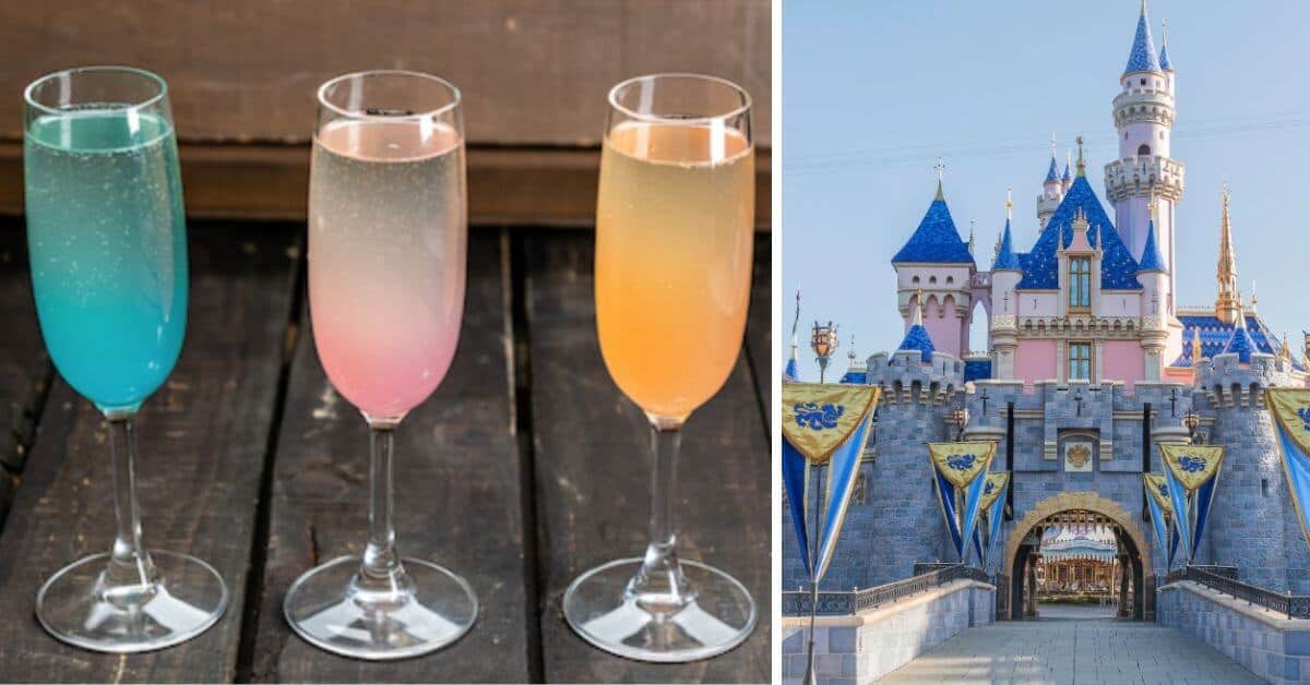 Mimosa Disneyland