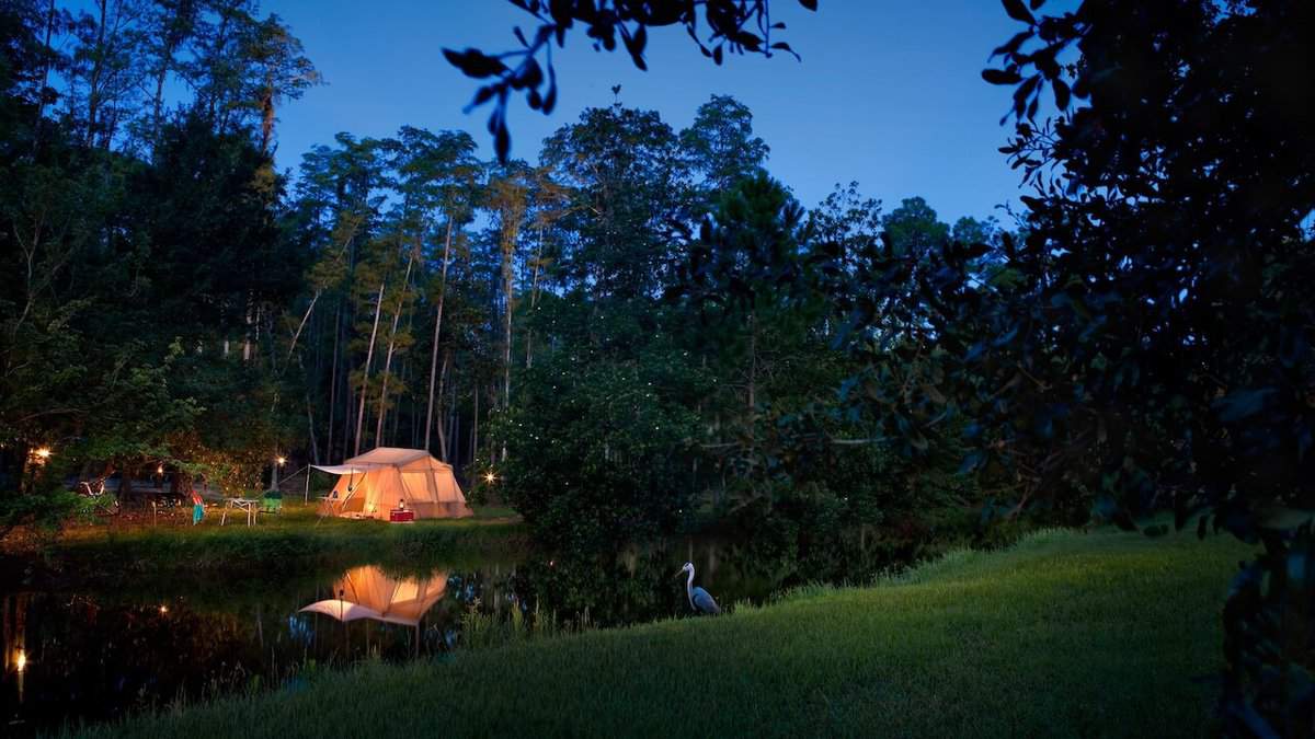 campsites at fort wilderness resort