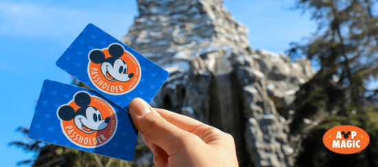 disneyland ap magic