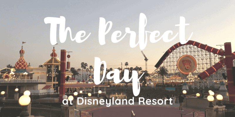 DLR Perfect Day Header